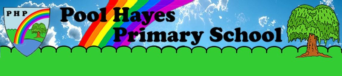 Pool Hayes Primary banner