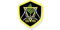 St David's High School logo