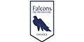 Falcons Pre-Preparatory Chiswick logo