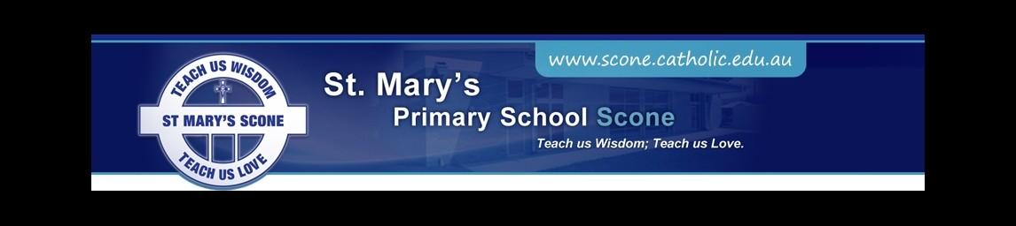 St Mary's Primary School banner