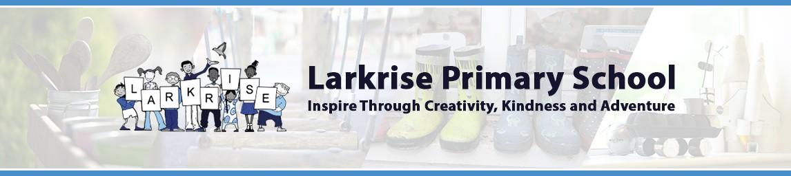Larkrise Primary School banner