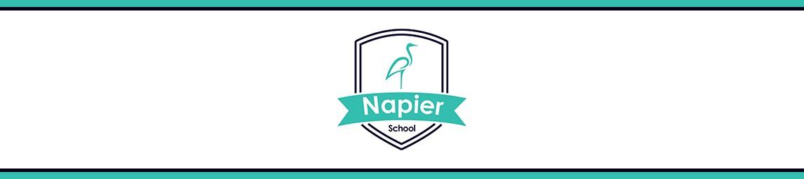 Napier School banner