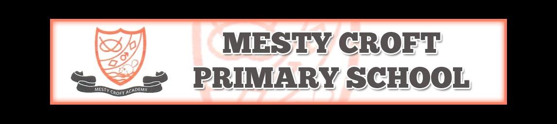 Mesty Croft Academy banner