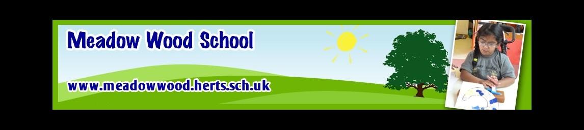 Meadow Wood School banner