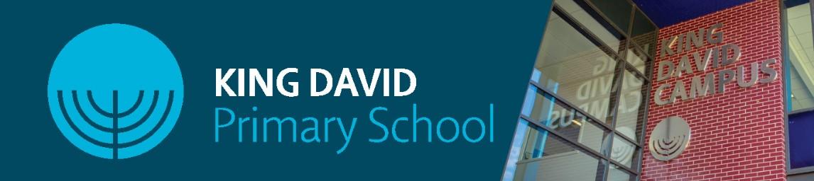 King David Primary School banner