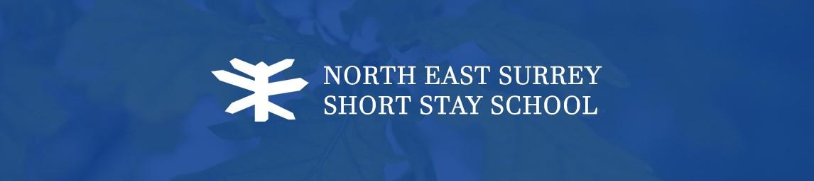 North East Surrey Secondary Short Stay School banner