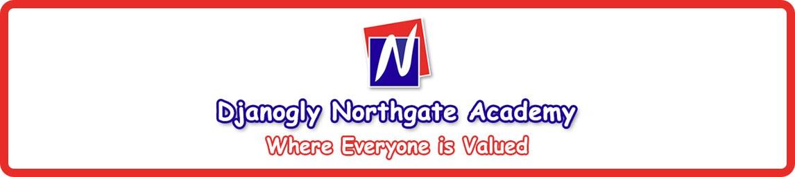 Djanogly Northgate Academy banner