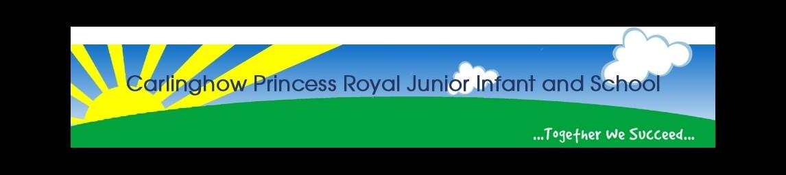 Carlinghow Princess Royal School banner