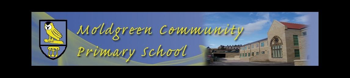 Moldgreen Community Primary School banner