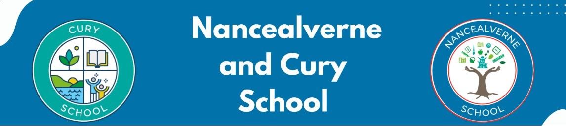 Nancealverne School banner