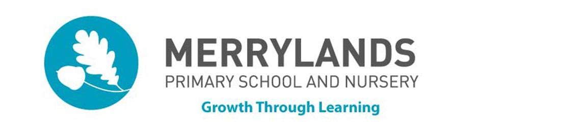 Merrylands Primary School banner