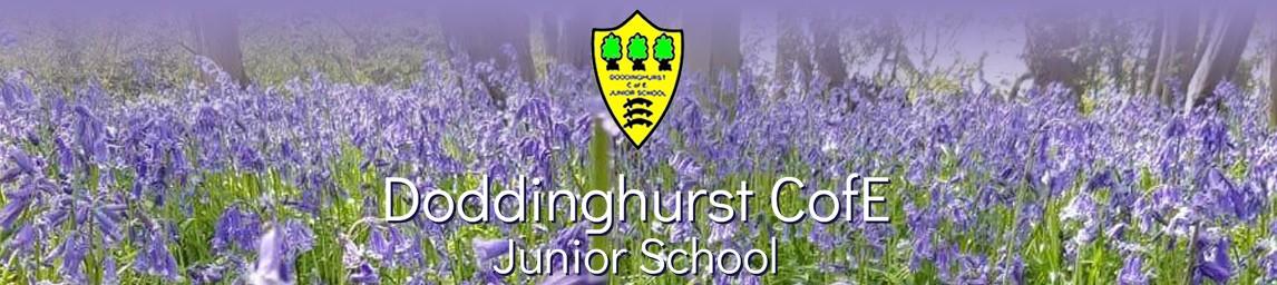Doddinghurst C of E Junior School banner