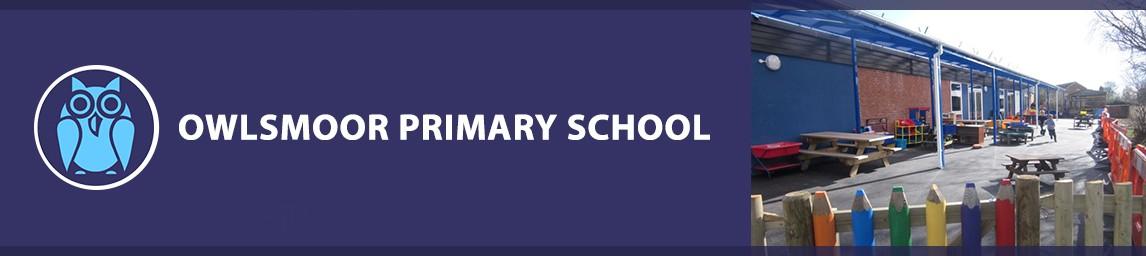 Owlsmoor Primary School banner