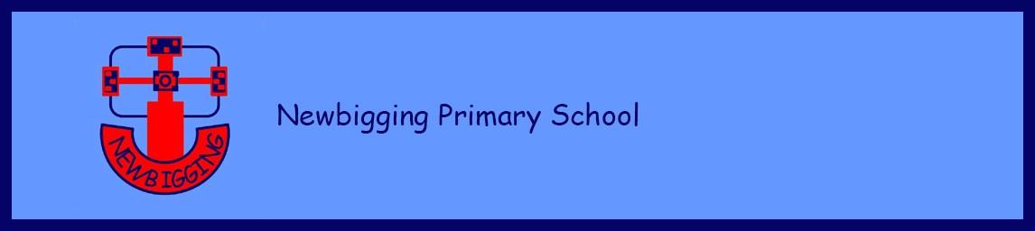 Newbigging Primary School banner