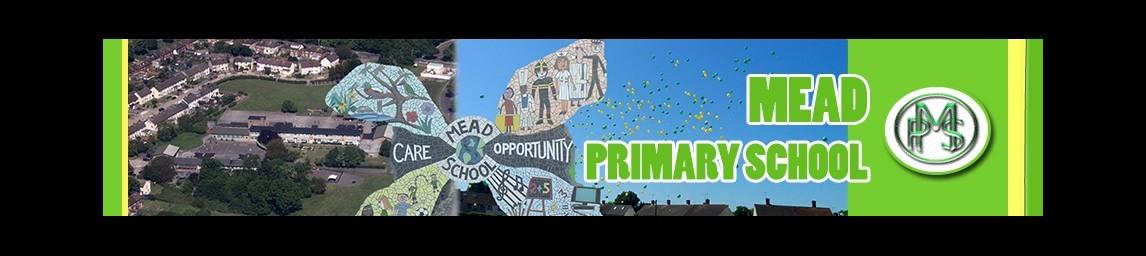 Mead Primary School banner