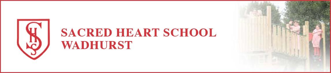 Sacred Heart School banner