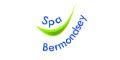 Spa School Bermondsey logo
