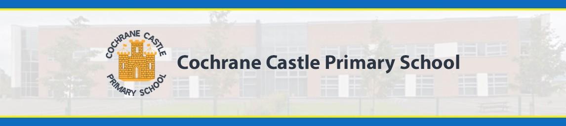 Cochrane Castle Primary banner