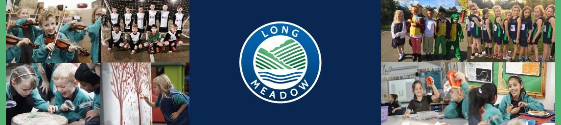Long Meadow School banner