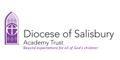 Diocese of Salisbury Academy Trust - DSAT logo