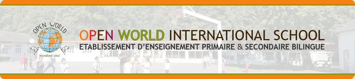 Open World International School banner