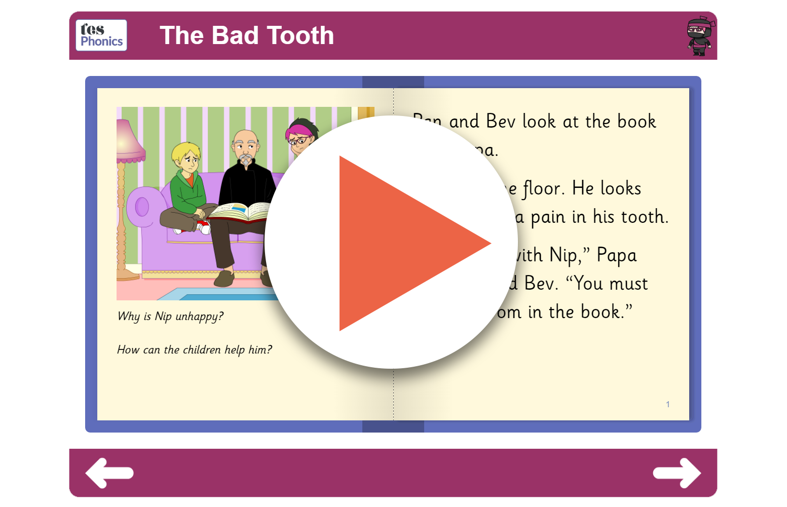  Book 6 The Bad Tooth (interactive)