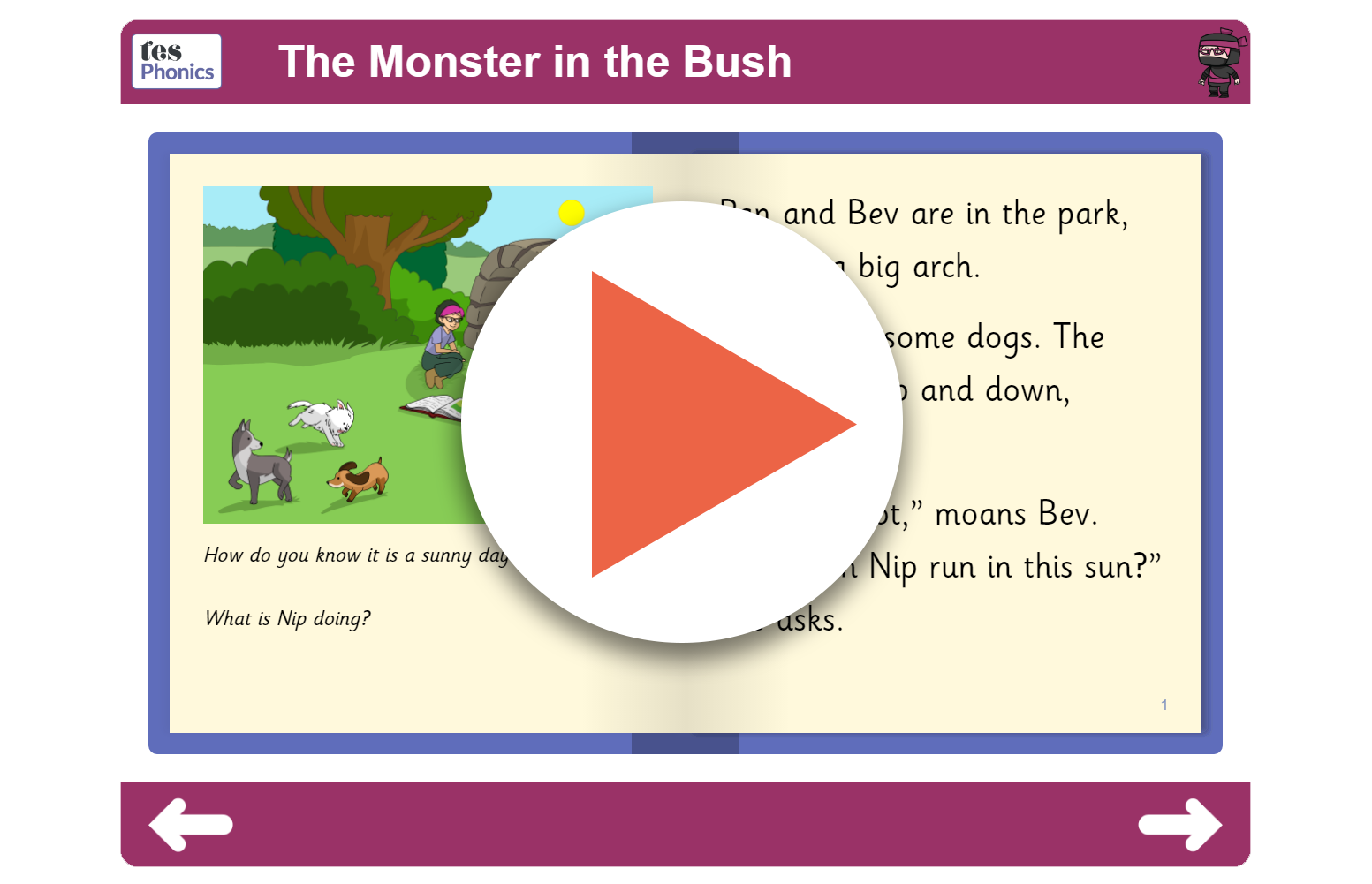  Book 7 The Monster in the Bush (interactive)
